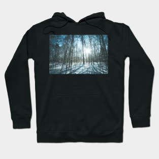 Winter forest Hoodie